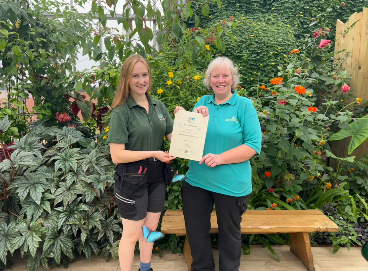 Congratulations to our gold award-winning horticulture team! article image